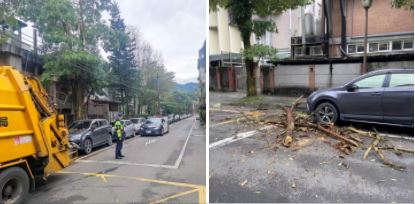 路樹倒塌壓路邊車 警民協力通報排除,迅速恢復交通